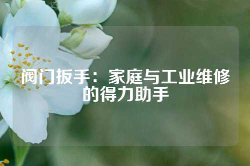 阀门扳手：家庭与工业维修的得力助手