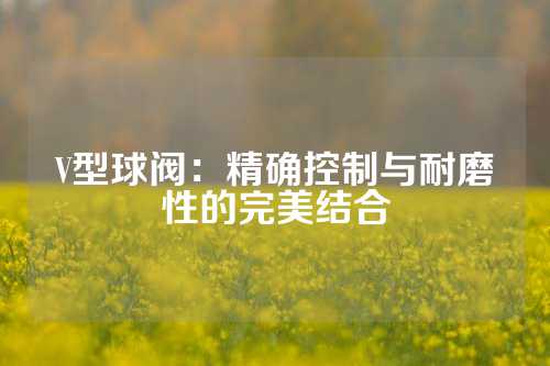 V型球阀：精确控制与耐磨性的完美结合