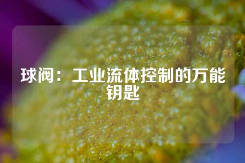 球阀：工业流体控制的万能钥匙