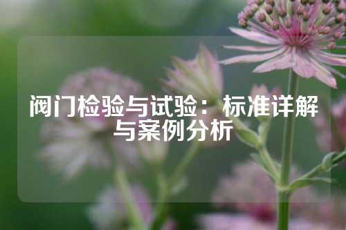 阀门检验与试验：标准详解与案例分析