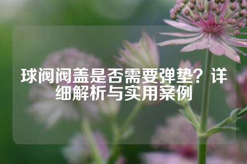 球阀阀盖是否需要弹垫？详细解析与实用案例