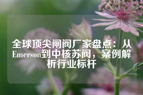 全球顶尖闸阀厂家盘点：从Emerson到中核苏阀，案例解析行业标杆