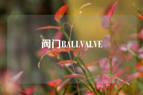 阀门BALLVALVE