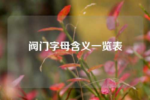 阀门字母含义一览表