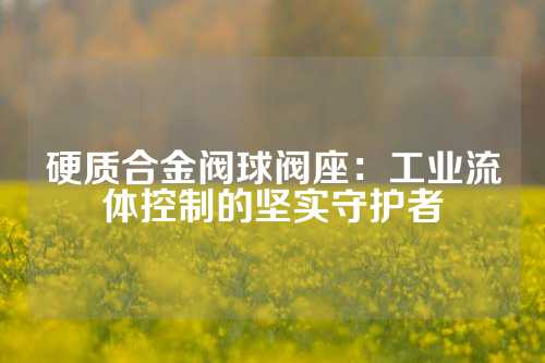 硬质合金阀球阀座：工业流体控制的坚实守护者