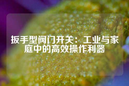 扳手型阀门开关：工业与家庭中的高效操作利器