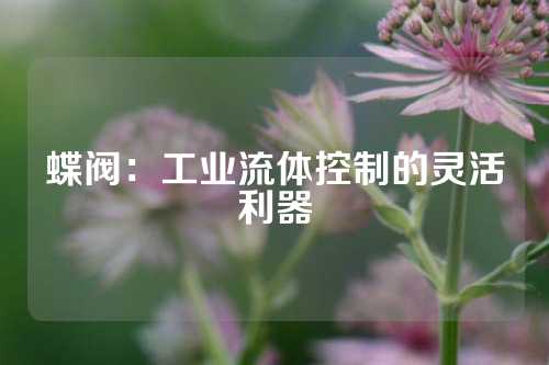 蝶阀：工业流体控制的灵活利器