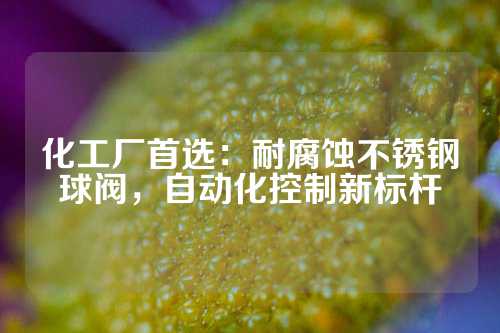 化工厂首选：耐腐蚀不锈钢球阀，自动化控制新标杆