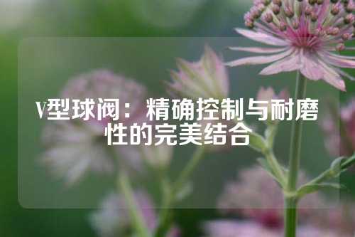 V型球阀：精确控制与耐磨性的完美结合