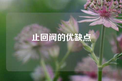 止回阀的优缺点