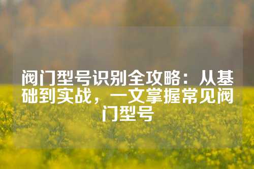 阀门型号识别全攻略：从基础到实战，一文掌握常见阀门型号