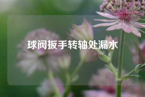 球阀扳手转轴处漏水