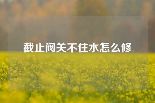 截止阀关不住水怎么修