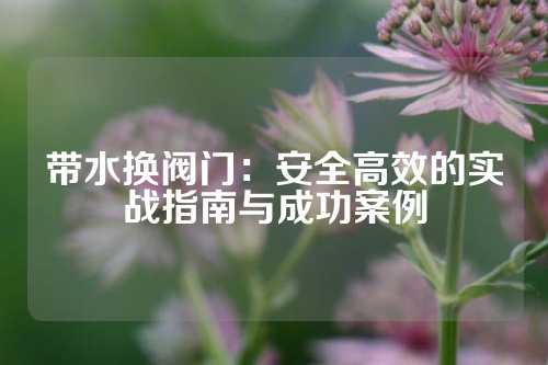 带水换阀门：安全高效的实战指南与成功案例