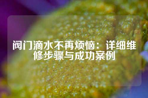 阀门滴水不再烦恼：详细维修步骤与成功案例