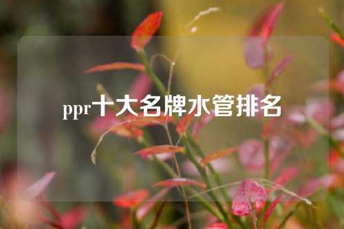 ppr十大名牌水管排名