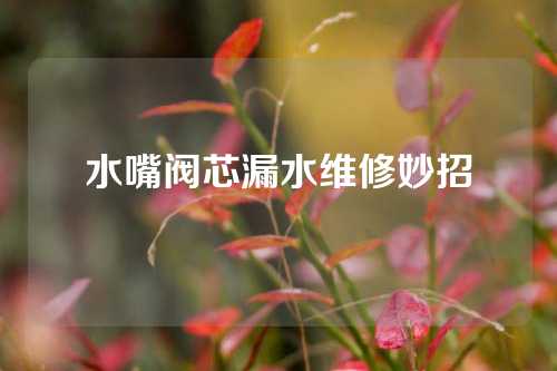 水嘴阀芯漏水维修妙招