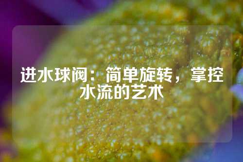 进水球阀：简单旋转，掌控水流的艺术