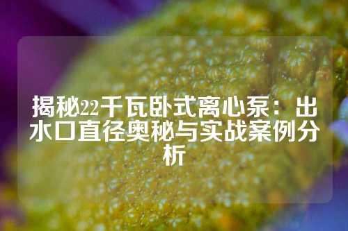 揭秘22千瓦卧式离心泵：出水口直径奥秘与实战案例分析