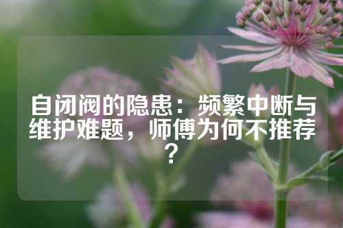 自闭阀的隐患：频繁中断与维护难题，师傅为何不推荐？