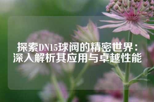 探索DN15球阀的精密世界：深入解析其应用与卓越性能