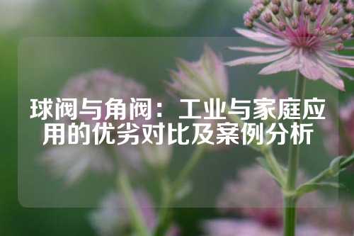 球阀与角阀：工业与家庭应用的优劣对比及案例分析