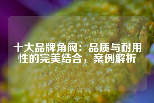 十大品牌角阀：品质与耐用性的完美结合，案例解析