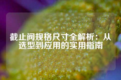 截止阀规格尺寸全解析：从选型到应用的实用指南