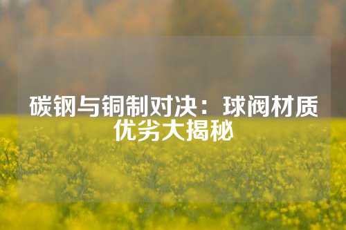 碳钢与铜制对决：球阀材质优劣大揭秘