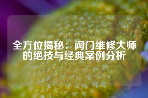 全方位揭秘：阀门维修大师的绝技与经典案例分析