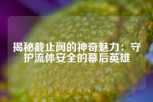 揭秘截止阀的神奇魅力：守护流体安全的幕后英雄