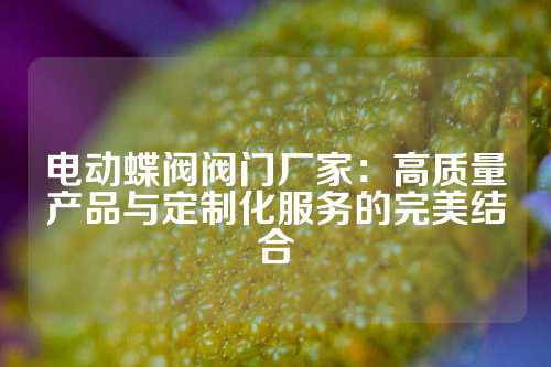 电动蝶阀阀门厂家：高质量产品与定制化服务的完美结合