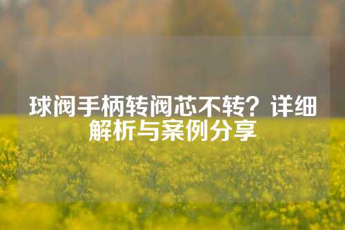 球阀手柄转阀芯不转？详细解析与案例分享