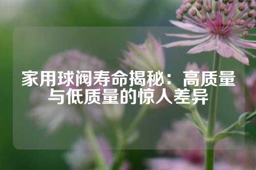 家用球阀寿命揭秘：高质量与低质量的惊人差异