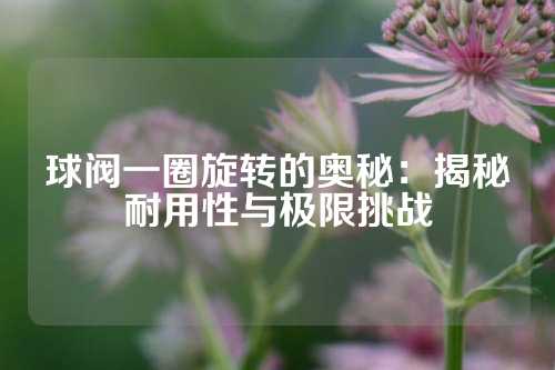 球阀一圈旋转的奥秘：揭秘耐用性与极限挑战