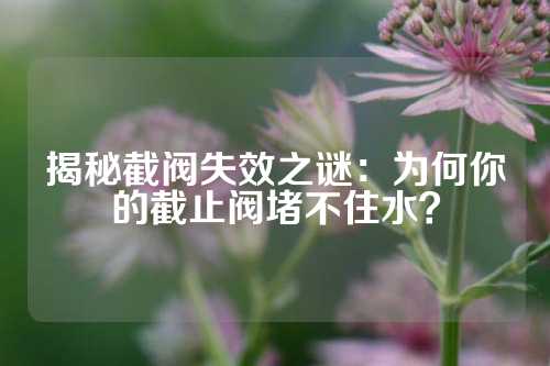 揭秘截阀失效之谜：为何你的截止阀堵不住水？