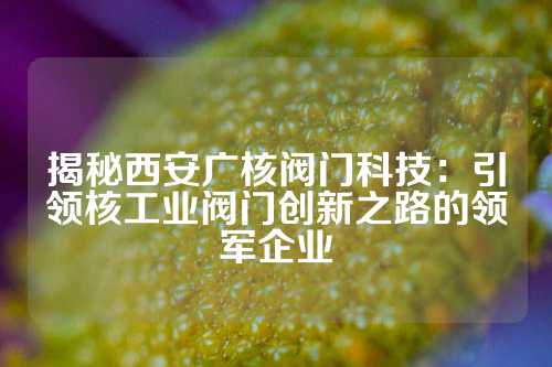 揭秘西安广核阀门科技：引领核工业阀门创新之路的领军企业