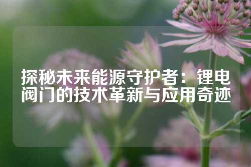 探秘未来能源守护者：锂电阀门的技术革新与应用奇迹