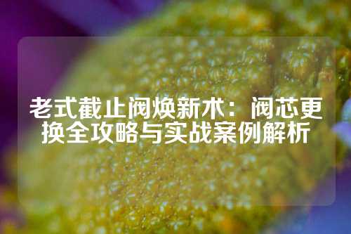 老式截止阀焕新术：阀芯更换全攻略与实战案例解析