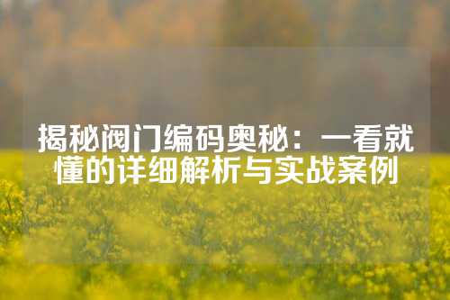 揭秘阀门编码奥秘：一看就懂的详细解析与实战案例