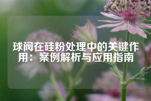 球阀在硅粉处理中的关键作用：案例解析与应用指南