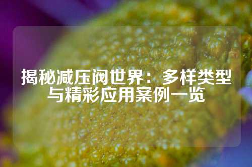 揭秘减压阀世界：多样类型与精彩应用案例一览