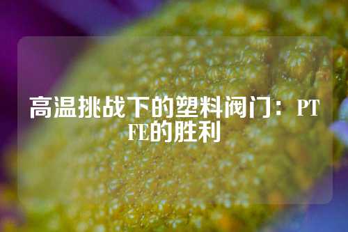 高温挑战下的塑料阀门：PTFE的胜利