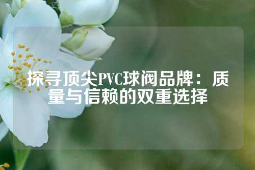 探寻顶尖PVC球阀品牌：质量与信赖的双重选择