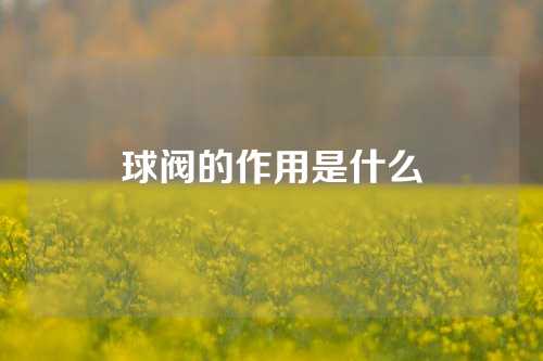 球阀的作用是什么