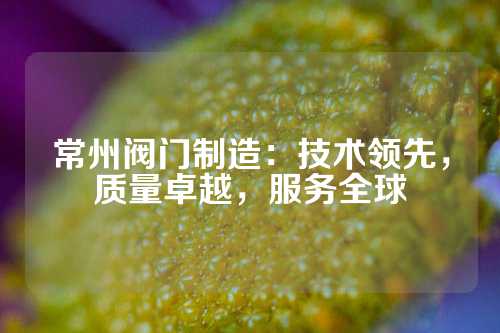 常州阀门制造：技术领先，质量卓越，服务全球