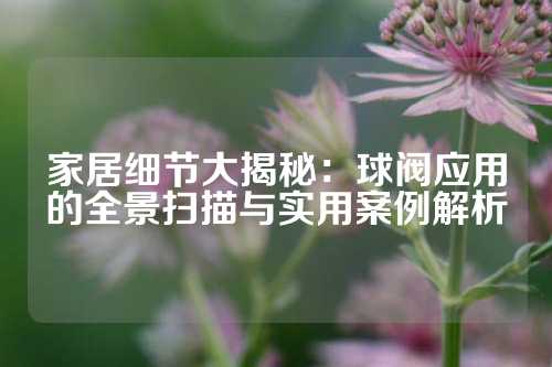 家居细节大揭秘：球阀应用的全景扫描与实用案例解析