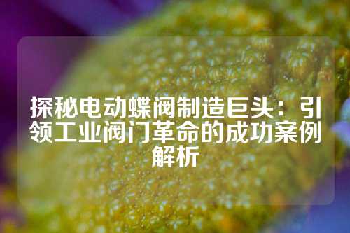 探秘电动蝶阀制造巨头：引领工业阀门革命的成功案例解析