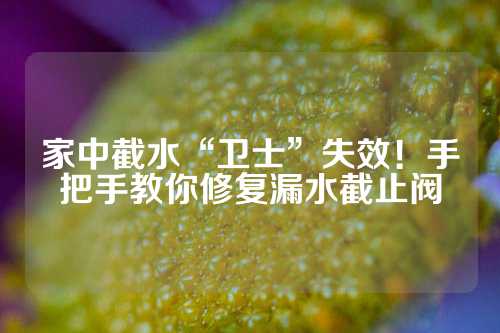 家中截水“卫士”失效！手把手教你修复漏水截止阀