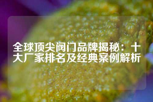 全球顶尖阀门品牌揭秘：十大厂家排名及经典案例解析